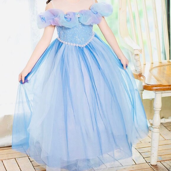lue Princess Dress with Accessories – Cinderella Inspired✨ - Picture 1 of 5